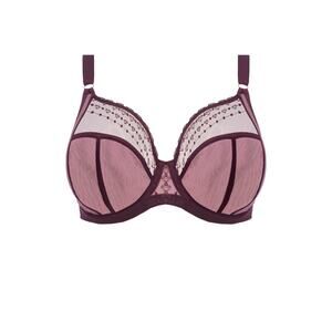 Elomi new underwire bra 40DD Purple $79